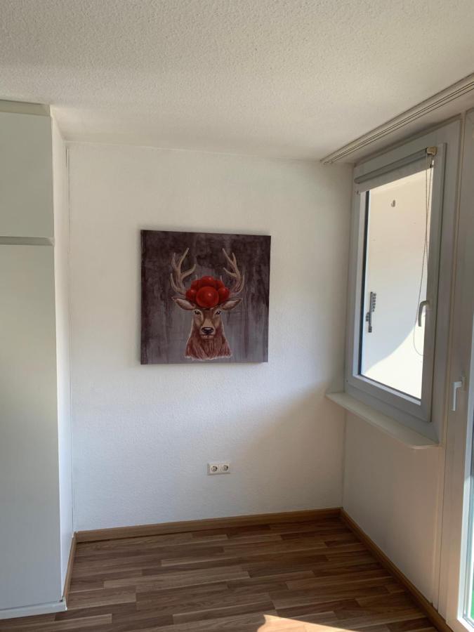 Kmh 1 Zi-Apartment St. Blasien Εξωτερικό φωτογραφία
